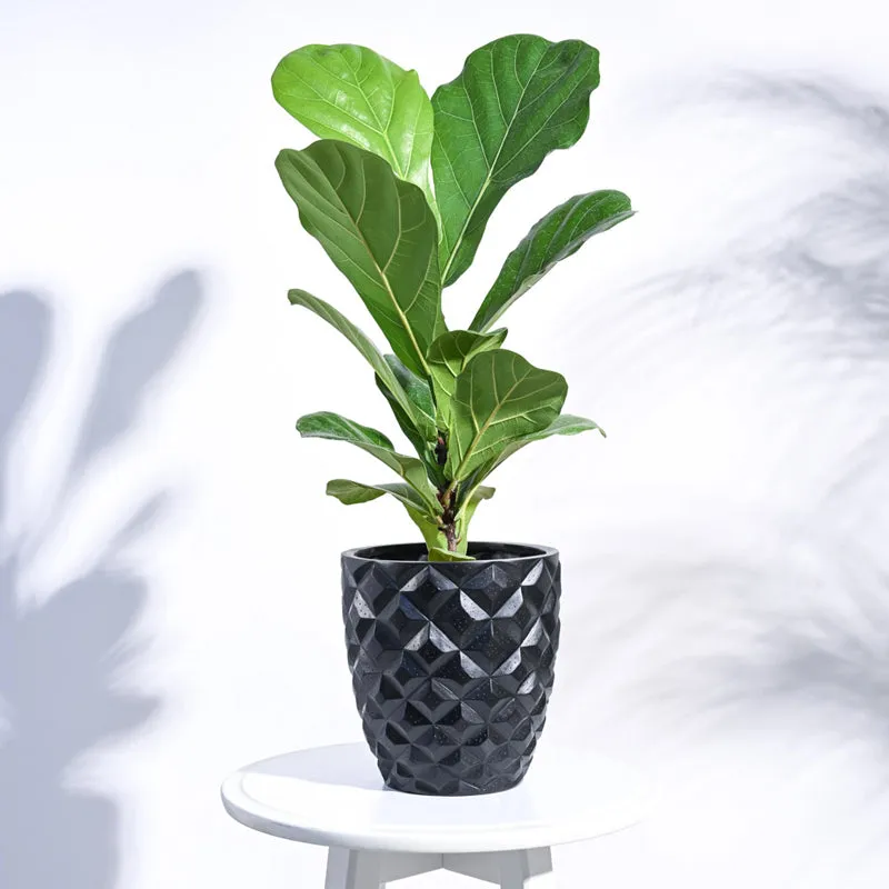 UGAOO Planter Heraldry Vase Taper Round - Black