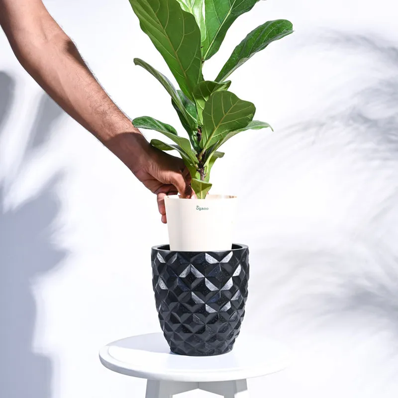 UGAOO Planter Heraldry Vase Taper Round - Black